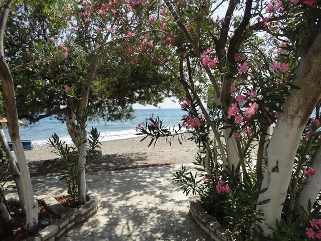 Mazi Sahil Pansiyon Turkey